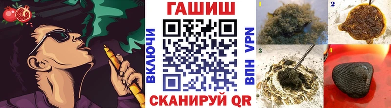 где найти наркотики  Спасск-Рязанский  ГАШ индика сатива 