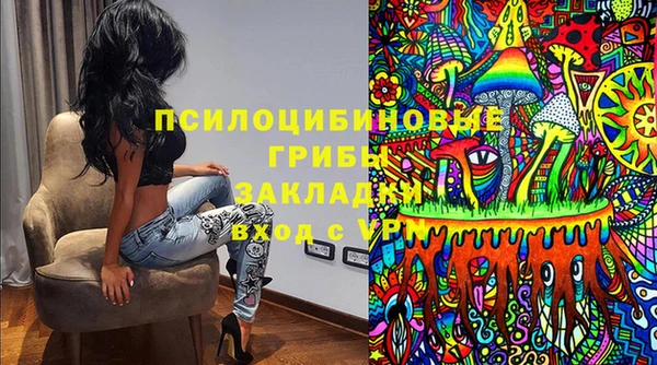 spice Богородицк