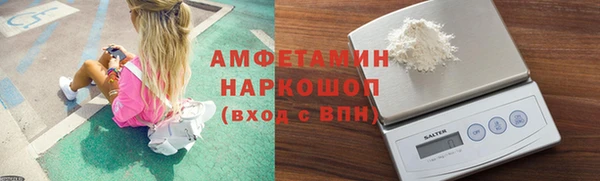 spice Богородицк