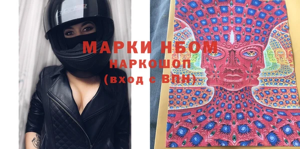 spice Богородицк