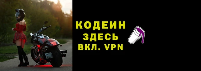 МДПВ Богородск