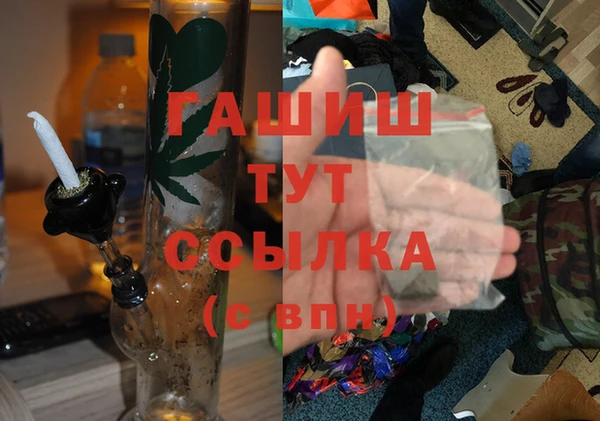 spice Богородицк