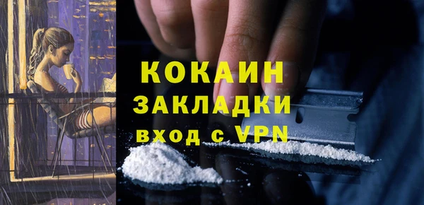 МДПВ Богородск