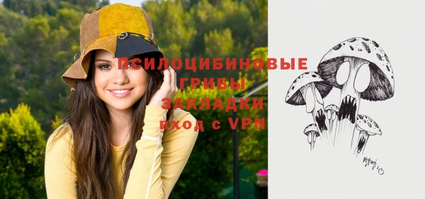 МДПВ Богородск