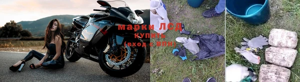 spice Богородицк