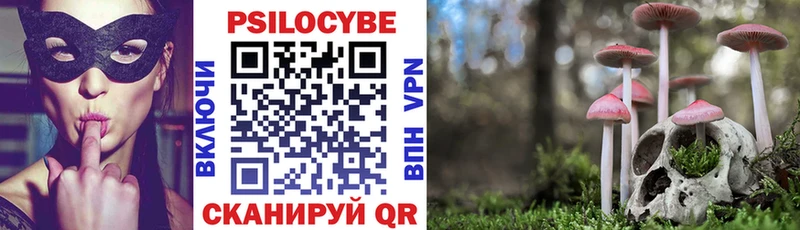Галлюциногенные грибы Psilocybine cubensis  закладки  Спасск-Рязанский 